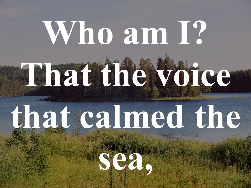 Who am I?  That the voice that calmed the sea,
